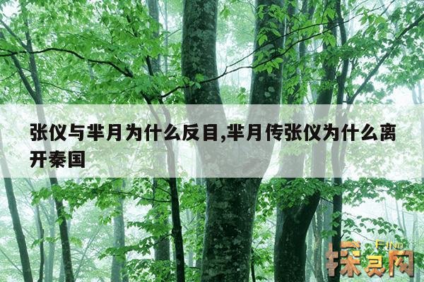 张仪与芈月为什么反目,芈月传张仪为什么离开秦国