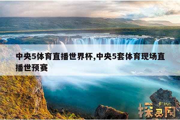 中央5体育直播世界杯,中央5套体育现场直播世预赛