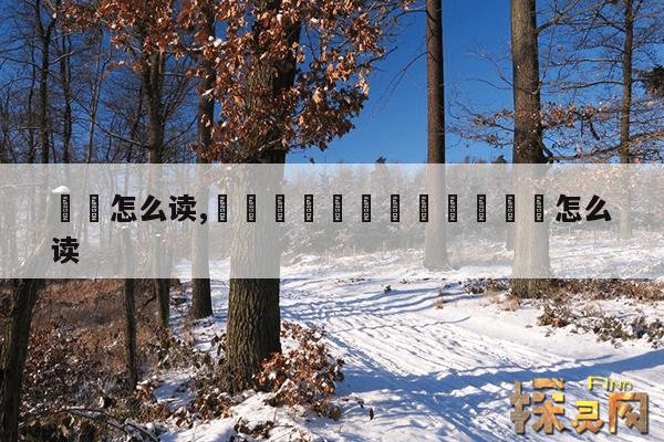 凢凣怎么读,龘靐齉爩龘靐齉齾爩麤灪龖怎么读