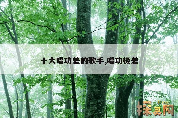 十大唱功差的歌手,唱功极差