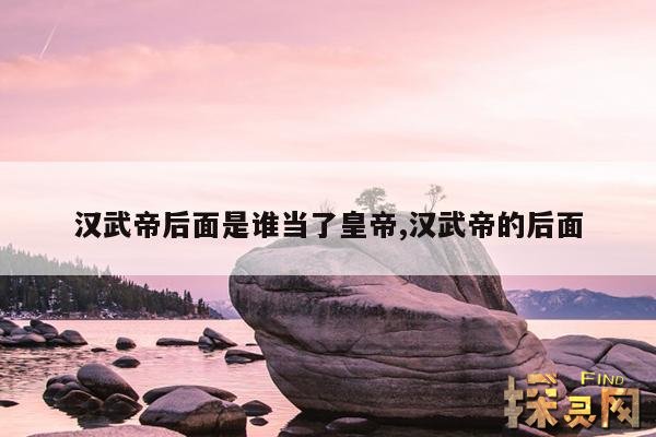 汉武帝后面是谁当了皇帝,汉武帝的后面