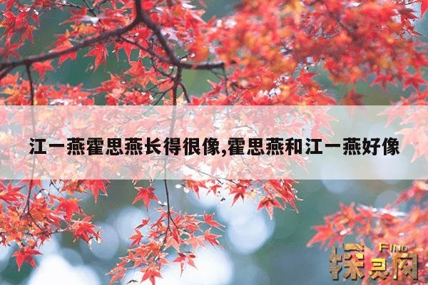 江一燕霍思燕长得很像,霍思燕和江一燕好像