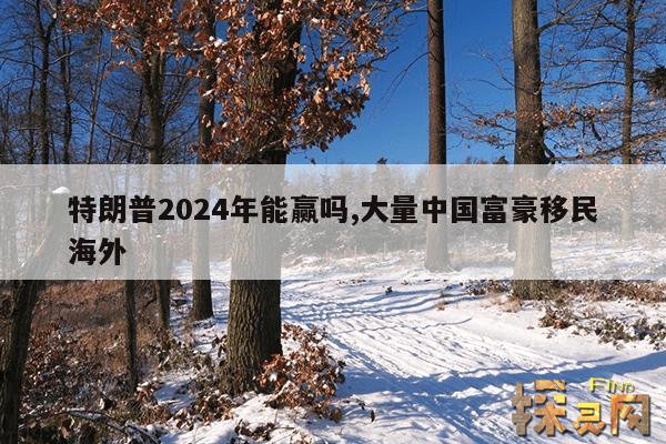 特朗普2024年能赢吗,大量中国富豪移民海外