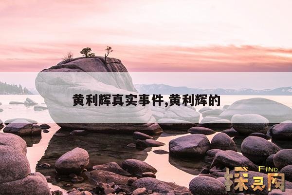 黄利辉真实事件,黄利辉的