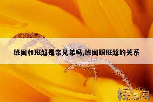 班固和班超是亲兄弟吗,班固跟班超的关系