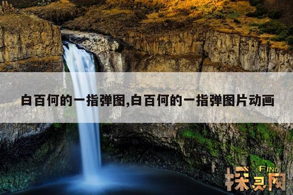 白百何的一指弹图,白百何的一指弹图片动画