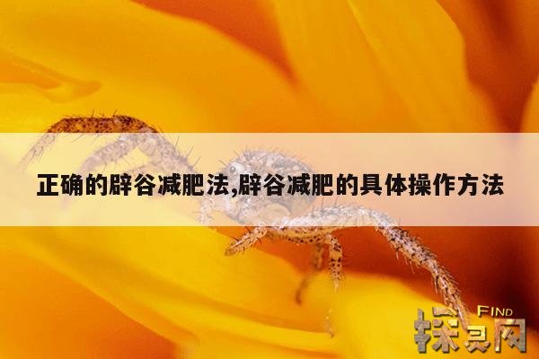 正确的辟谷减肥法,辟谷减肥的具体操作方法