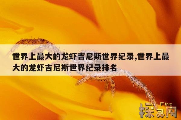 世界上最大的龙虾吉尼斯世界纪录,世界上最大的龙虾吉尼斯世界纪录排名