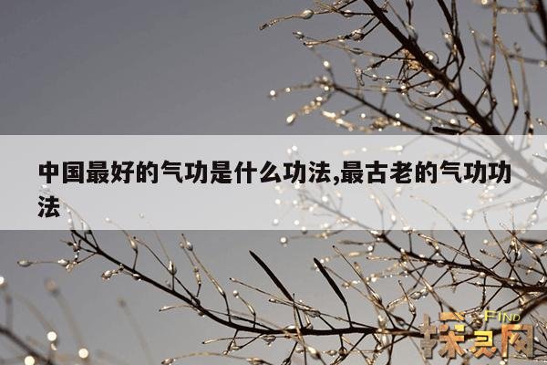 中国最好的气功是什么功法,最古老的气功功法