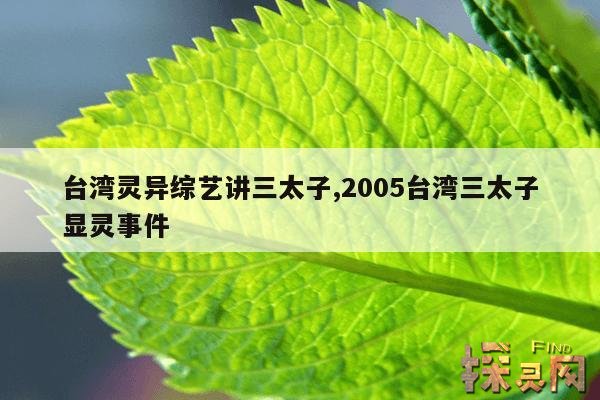 台湾灵异综艺讲三太子,2005台湾三太子显灵事件