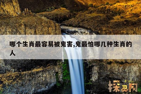 哪个生肖最容易被鬼害,鬼最怕哪几种生肖的人