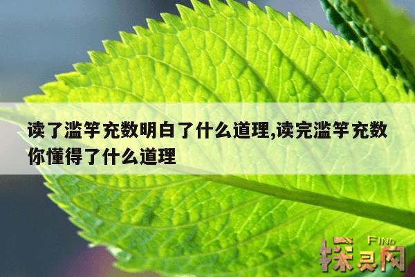 读了滥竽充数明白了什么道理,读完滥竽充数你懂得了什么道理