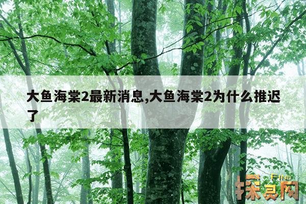 大鱼海棠2最新消息,大鱼海棠2为什么推迟了