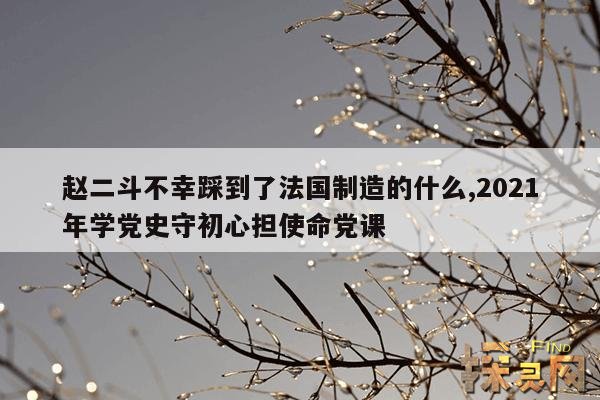 赵二斗不幸踩到了法国制造的什么,2021年学党史守初心担使命党课