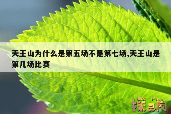 天王山为什么是第五场不是第七场,天王山是第几场比赛