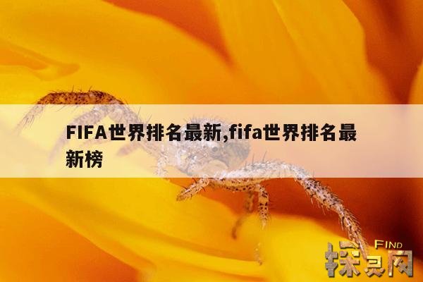 FIFA世界排名最新,fifa世界排名最新榜