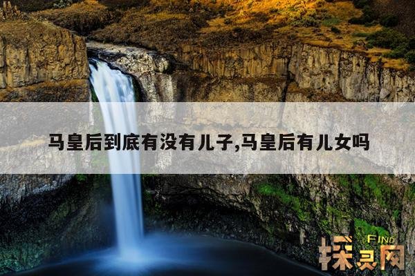 马皇后到底有没有儿子,马皇后有儿女吗
