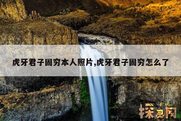 虎牙君子固穷本人照片,虎牙君子固穷怎么了