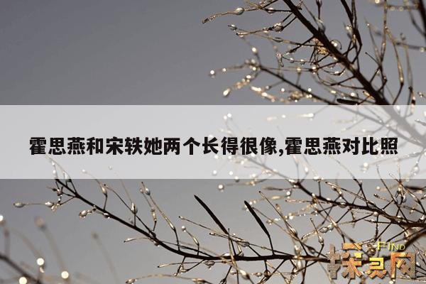 霍思燕和宋轶她两个长得很像,霍思燕对比照