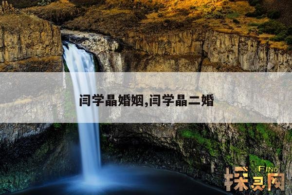 闫学晶婚姻,闫学晶二婚