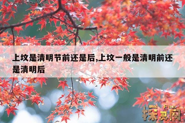 上坟是清明节前还是后,上坟一般是清明前还是清明后