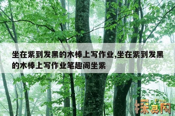 坐在紫到发黑的木棒上写作业,坐在紫到发黑的木棒上写作业笔趣阁坐紫
