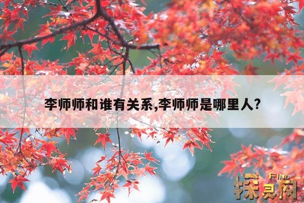 李师师和谁有关系,李师师是哪里人?