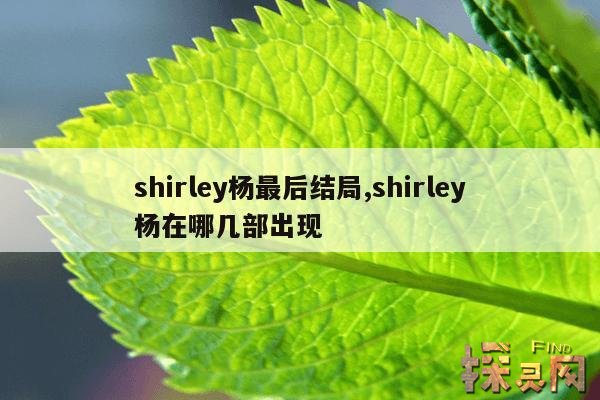 shirley杨最后结局,shirley杨在哪几部出现
