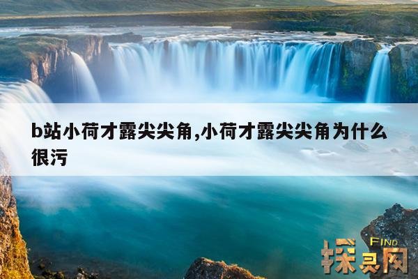 b站小荷才露尖尖角,小荷才露尖尖角为什么很污