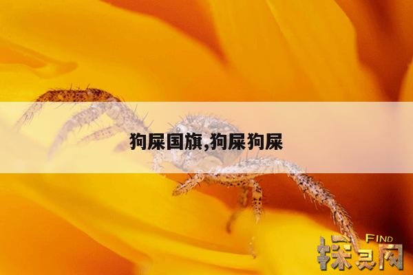 狗屎国旗,狗屎狗屎