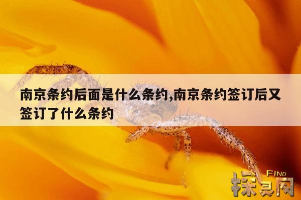 南京条约后面是什么条约,南京条约签订后又签订了什么条约