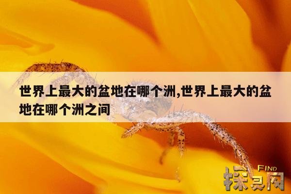 世界上最大的盆地在哪个洲,世界上最大的盆地在哪个洲之间