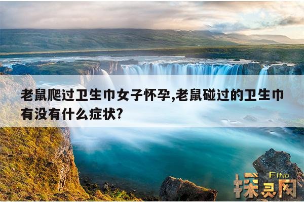 老鼠爬过卫生巾女子怀孕,老鼠碰过的卫生巾有没有什么症状?