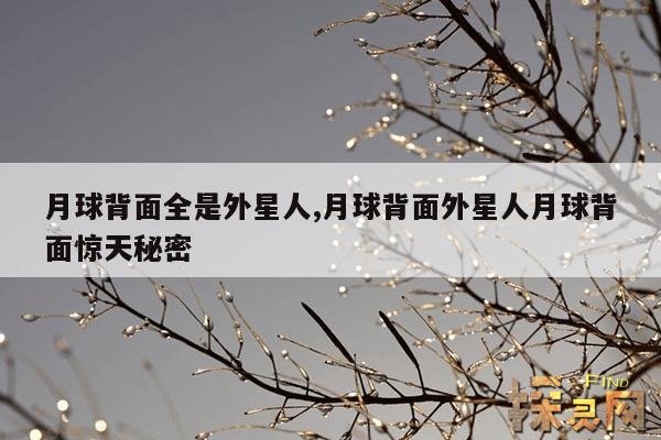 月球背面全是外星人,月球背面外星人月球背面惊天秘密