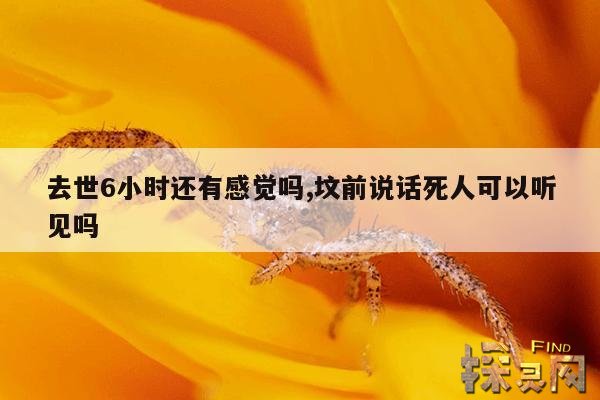 去世6小时还有感觉吗,坟前说话死人可以听见吗