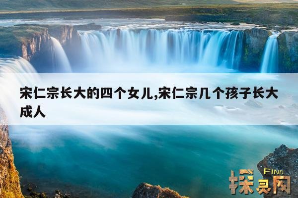 宋仁宗长大的四个女儿,宋仁宗几个孩子长大成人