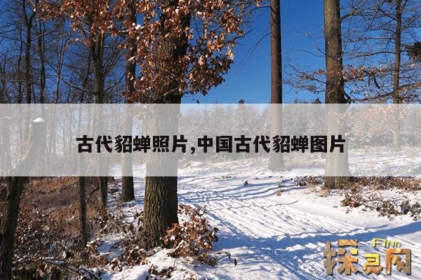 古代貂蝉照片,中国古代貂蝉图片