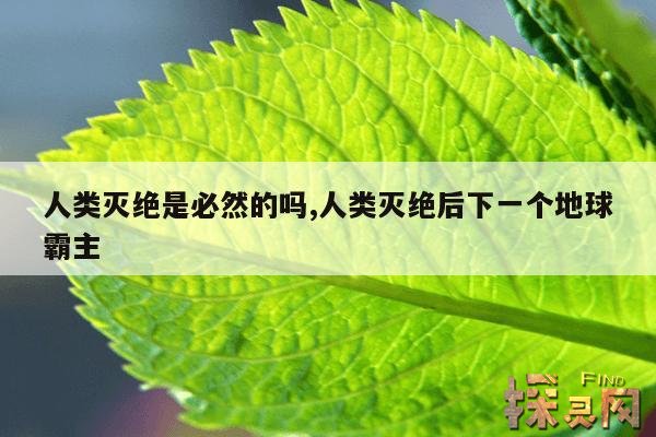 人类灭绝是必然的吗,人类灭绝后下一个地球霸主