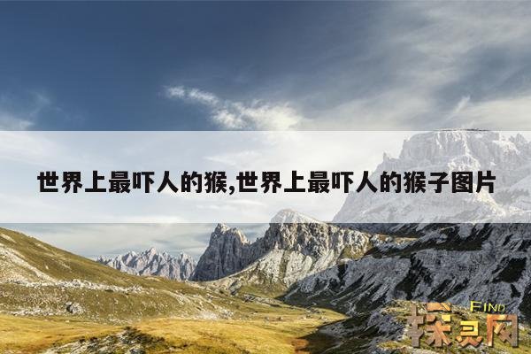 世界上最吓人的猴,世界上最吓人的猴子图片