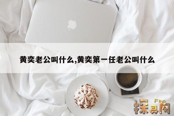 黄奕老公叫什么,黄奕第一任老公叫什么