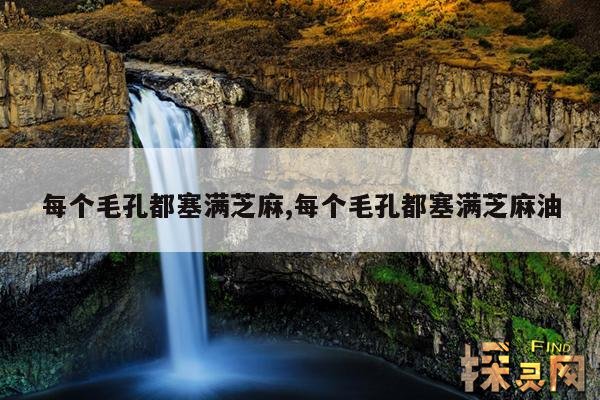 每个毛孔都塞满芝麻,每个毛孔都塞满芝麻油