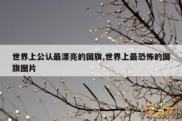 世界上公认最漂亮的国旗,世界上最恐怖的国旗图片