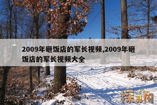 2009年砸饭店的军长视频,2009年砸饭店的军长视频大全