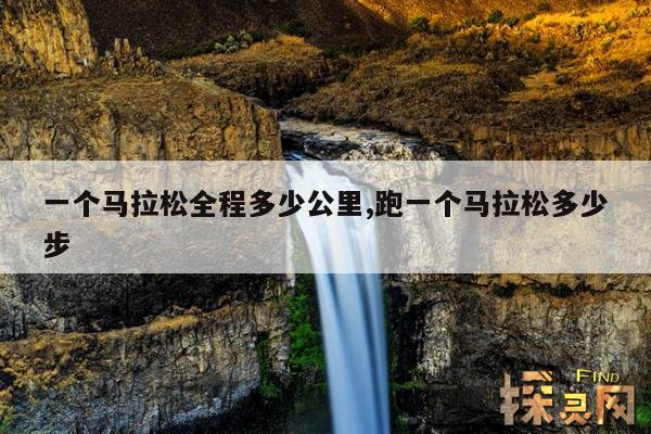 一个马拉松全程多少公里,跑一个马拉松多少步