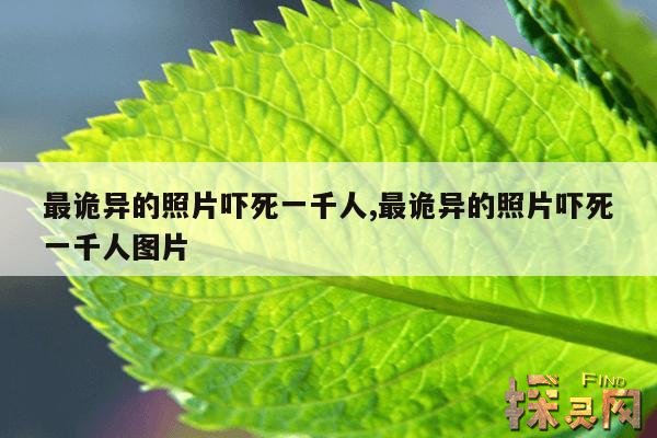 最诡异的照片吓死一千人,最诡异的照片吓死一千人图片