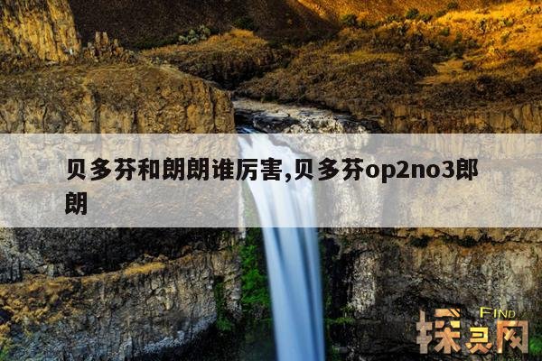 贝多芬和朗朗谁厉害,贝多芬op2no3郎朗