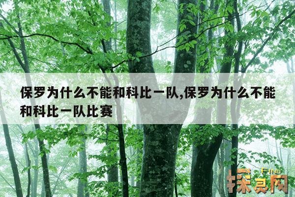 保罗为什么不能和科比一队,保罗为什么不能和科比一队比赛