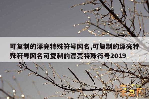 可复制的漂亮特殊符号网名,可复制的漂亮特殊符号网名可复制的漂亮特殊符号2019