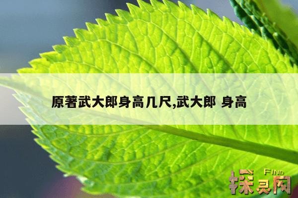 原著武大郎身高几尺,武大郎 身高