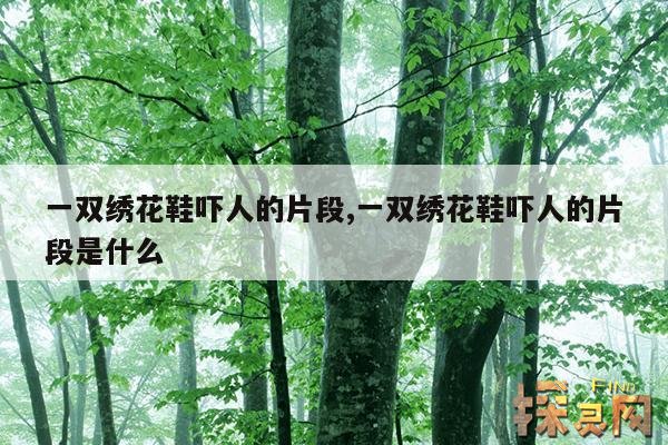 一双绣花鞋吓人的片段,一双绣花鞋吓人的片段是什么